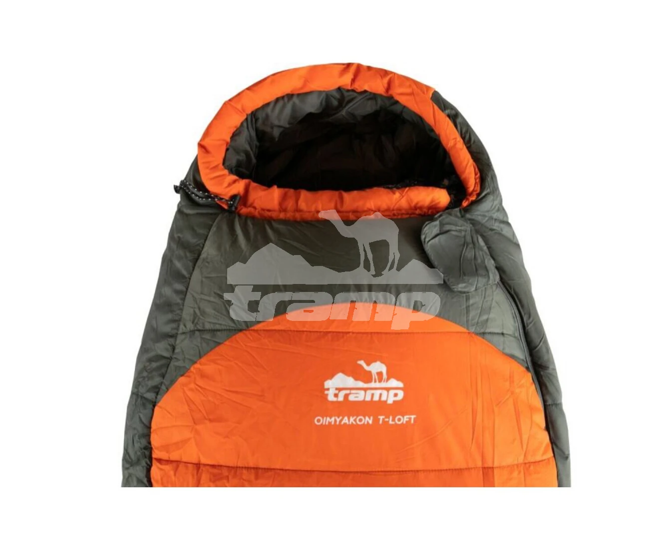 Спальные мешки Спальный мешок кокон Tramp Oimyakon T-Loft Regular (левый) 225*80*55 см (-30°C)