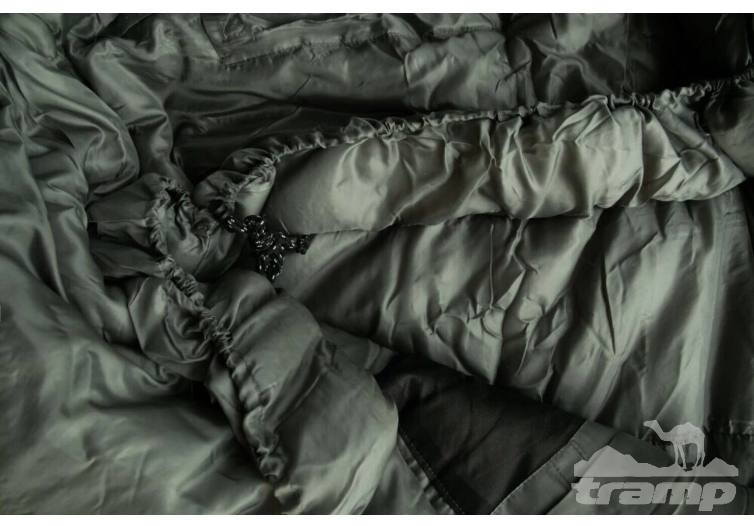 Спальные мешки Спальный мешок Tramp Rover Regular (левый) 220*80*55 см (-25°C)