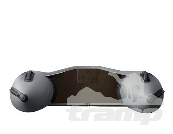 Лодки ПВХ Моторно-гребная лодка Flinc FT320K (Серый) модель 2025 г