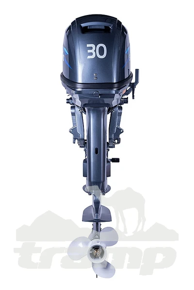 Лодочные моторы Лодочный мотор 2Т Seanovo SN30FFES Дистанция, Электростартер