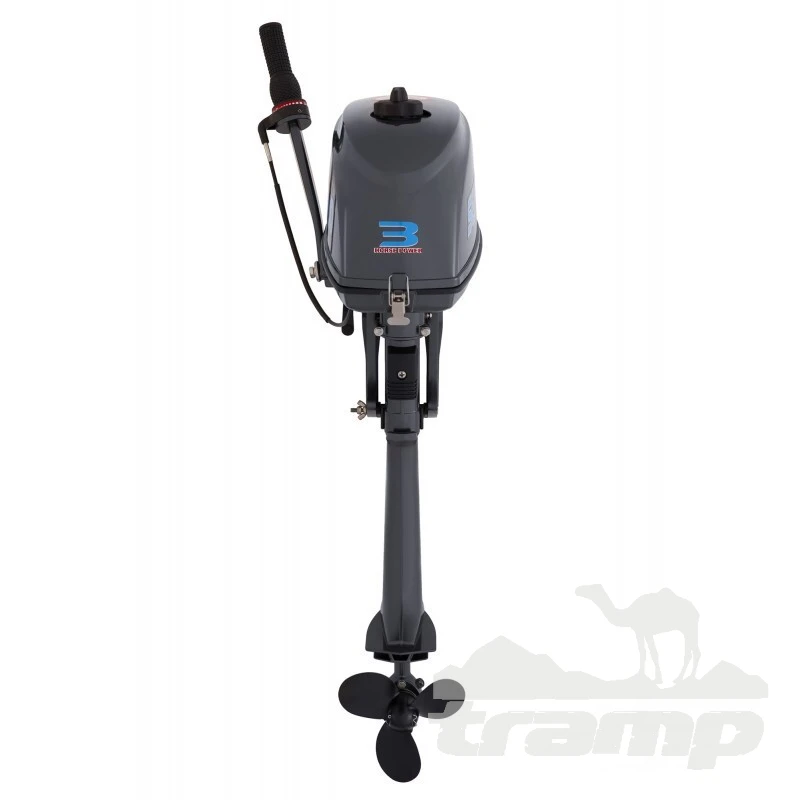 Лодочные моторы Лодочный мотор 2Т Seanovo SN3FHS