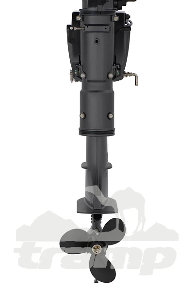 Лодочные моторы Лодочный мотор 2Т Seanovo SN5FHS