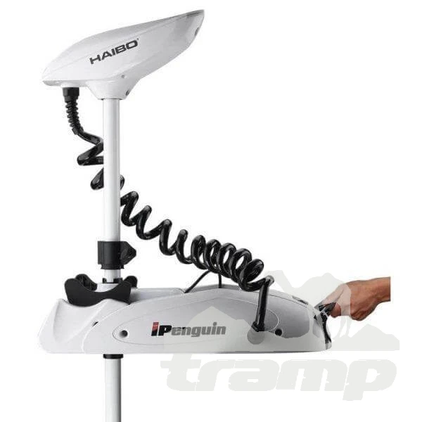 Лодочные моторы Лодочный электромотор Haibo iPenguin P65 Pro c GPS якорем (пульт Д/У, компас GPS, быстросъем. площадка)