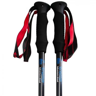 Палки треккинговые Trail - Tramp TRR-002