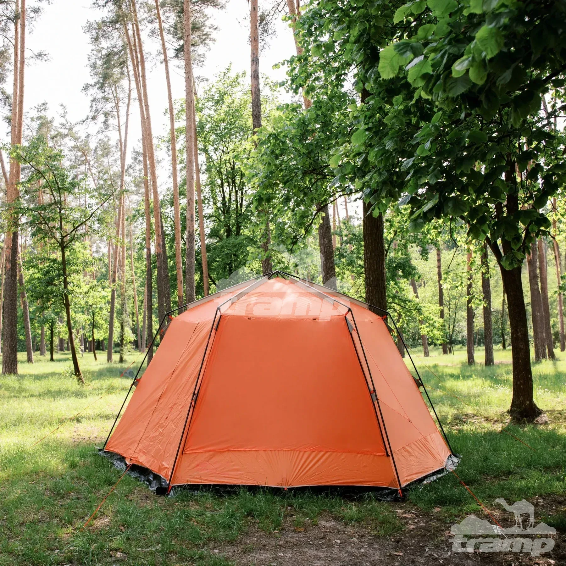 Шатрово-тентовая продукция Палатка-Шатер TRAMP LITE Mosquito Orange 4.3х3.7х2.25 м (V2) + Съемный пол из терпаулинга