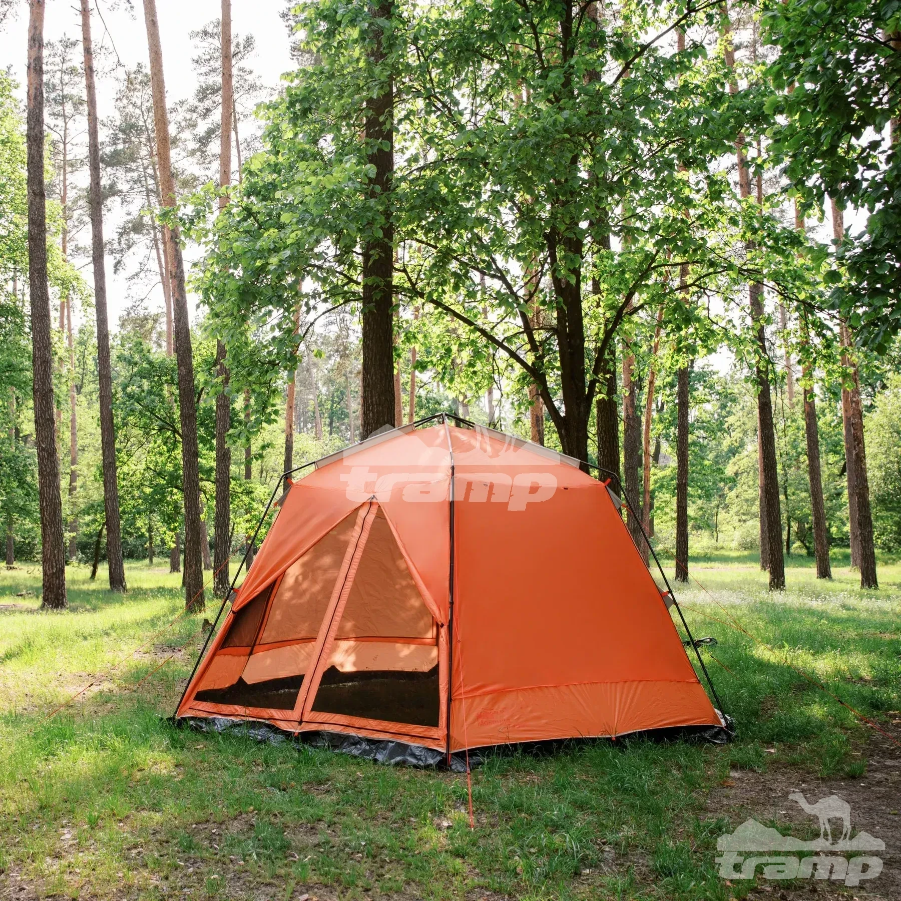 Шатрово-тентовая продукция Палатка-Шатер TRAMP LITE Mosquito Orange 4.3х3.7х2.25 м (V2) + Съемный пол из терпаулинга