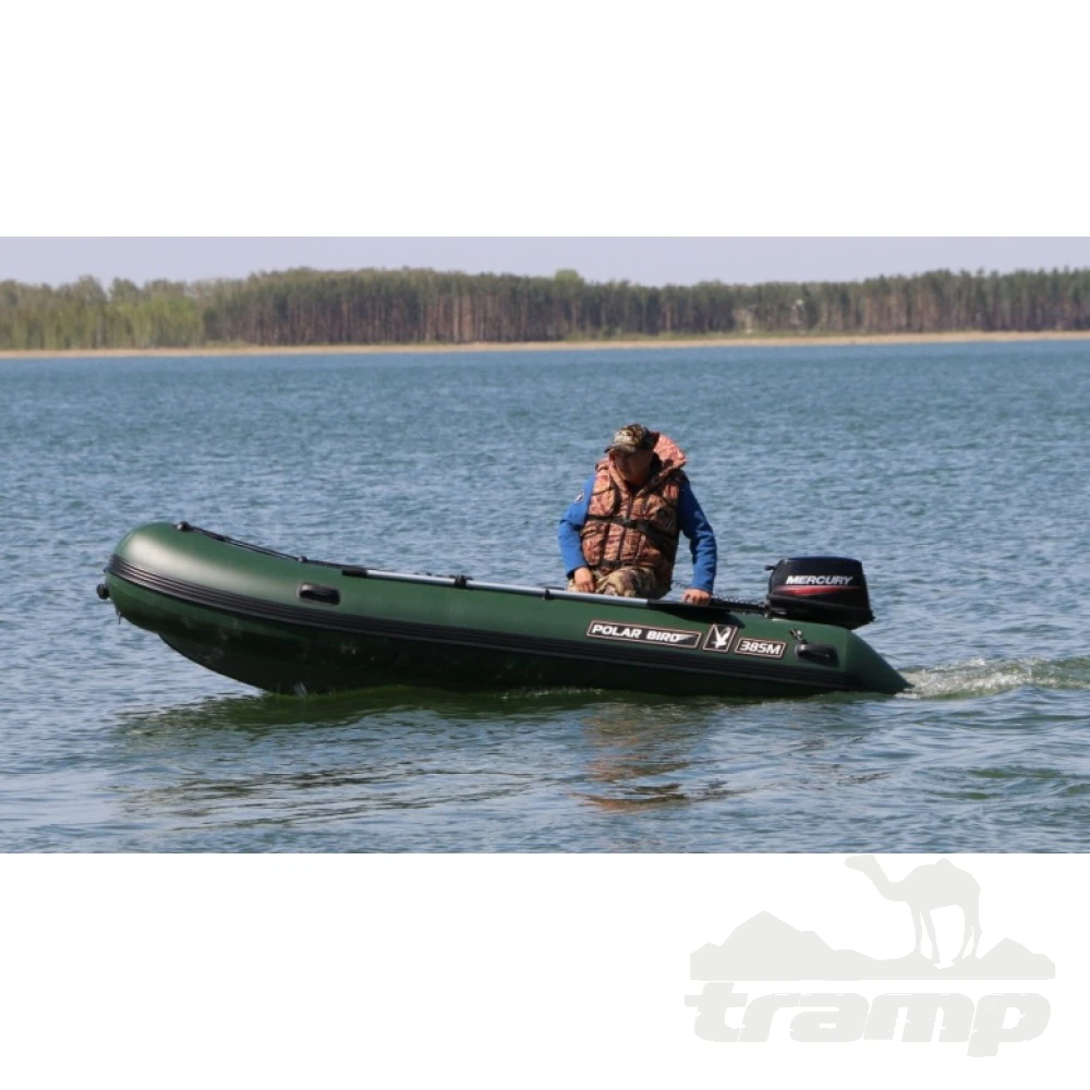 Лодки ПВХ Лодка Polar Bird 340M Merlin | НДНД | Стеклокомпозит | зелёный |