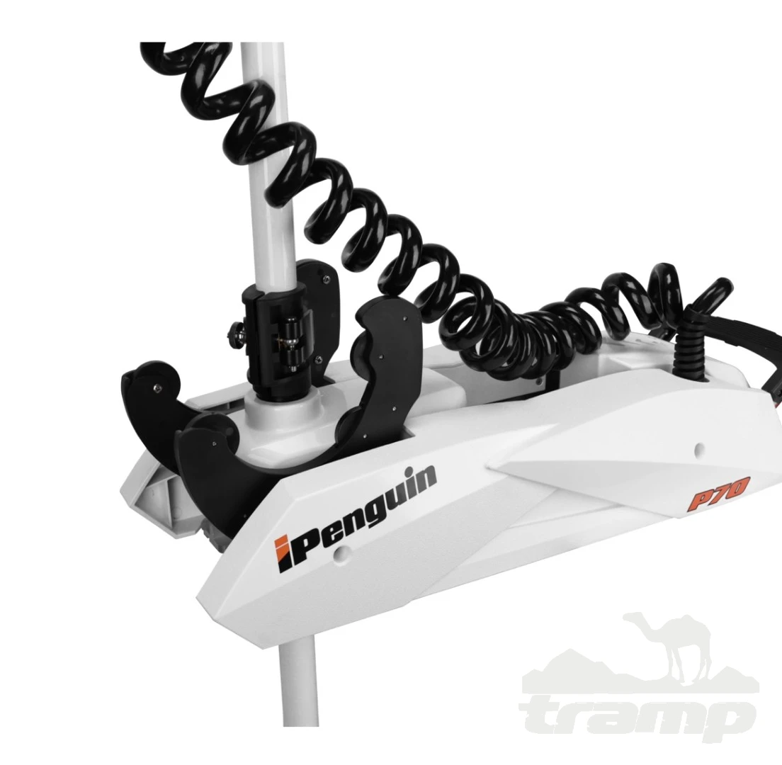 Лодочные моторы Электромотор лодочный Haibo iPenguin P90