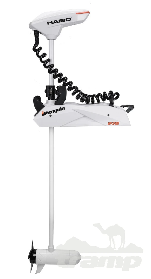 Лодочные моторы Электромотор лодочный Haibo iPenguin P90