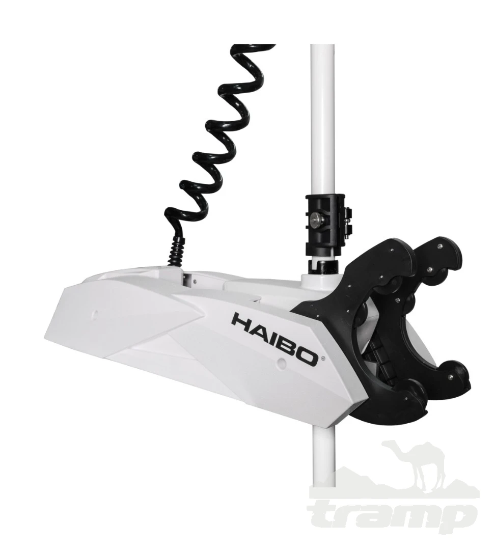 Лодочные моторы Электромотор лодочный Haibo iPenguin P90