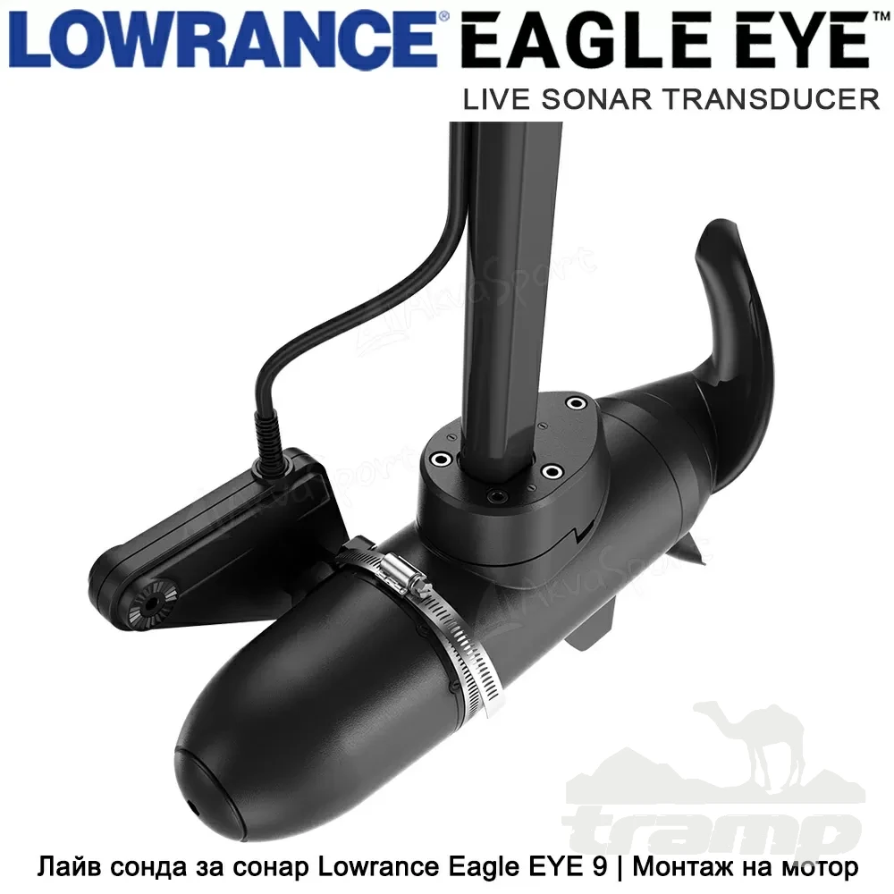 Эхолоты Эхолот Lowrance Eagle EYE 9 с датчиком Live Sonar