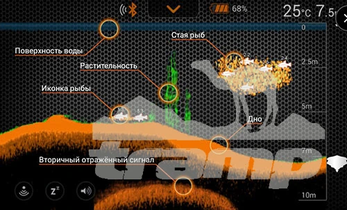 Эхолоты Беспроводной эхолот Deeper PRO+