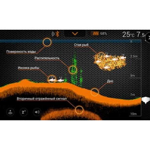 Беспроводной эхолот Deeper PRO+