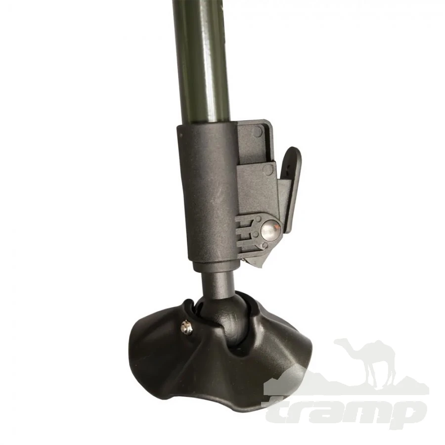 Кемпинговая мебель Раскладушка Tramp Carp TRF-029 + чехол