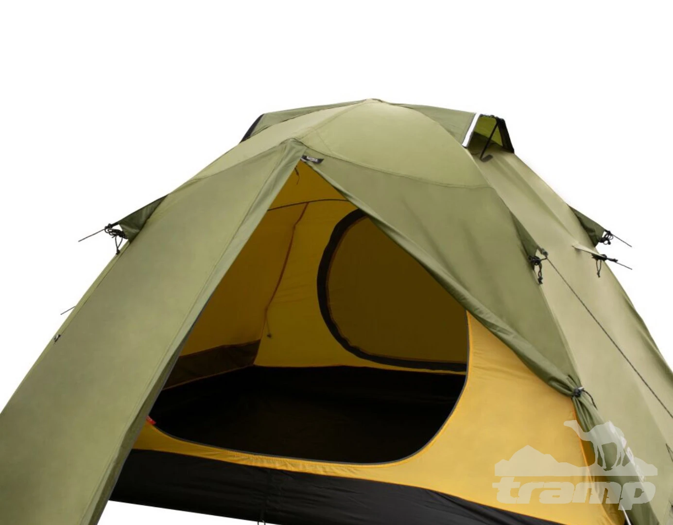 Палатки Палатка Экспедиционная Tramp Peak 3 Green (V2)