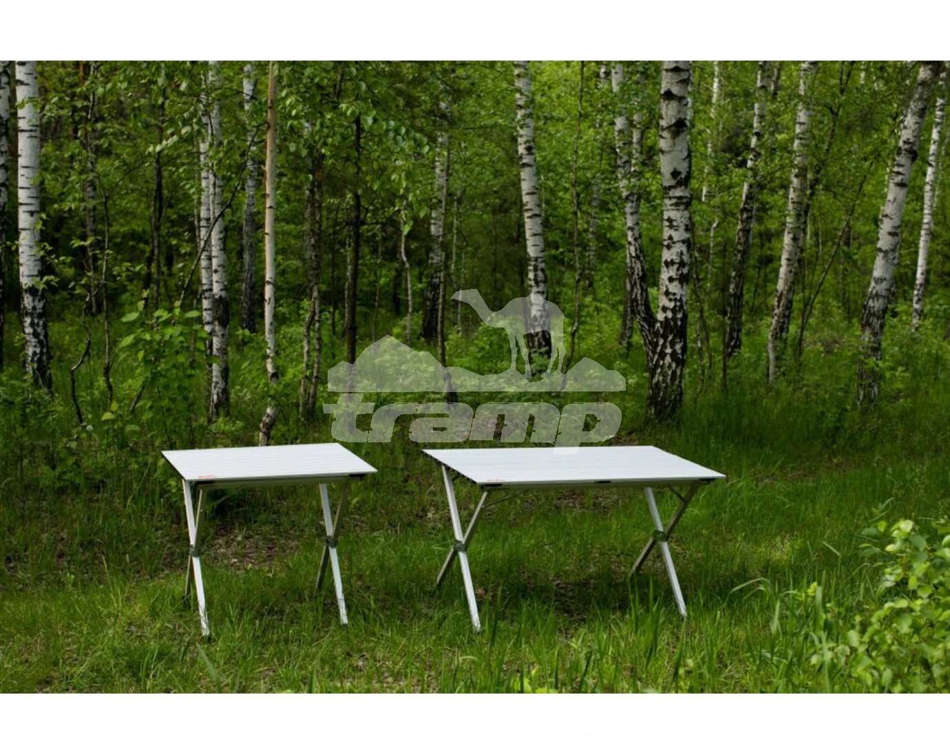 Кемпинговая мебель Стол складной алюминиевый (80x60x70см) Tramp Roll-80 TRF-063