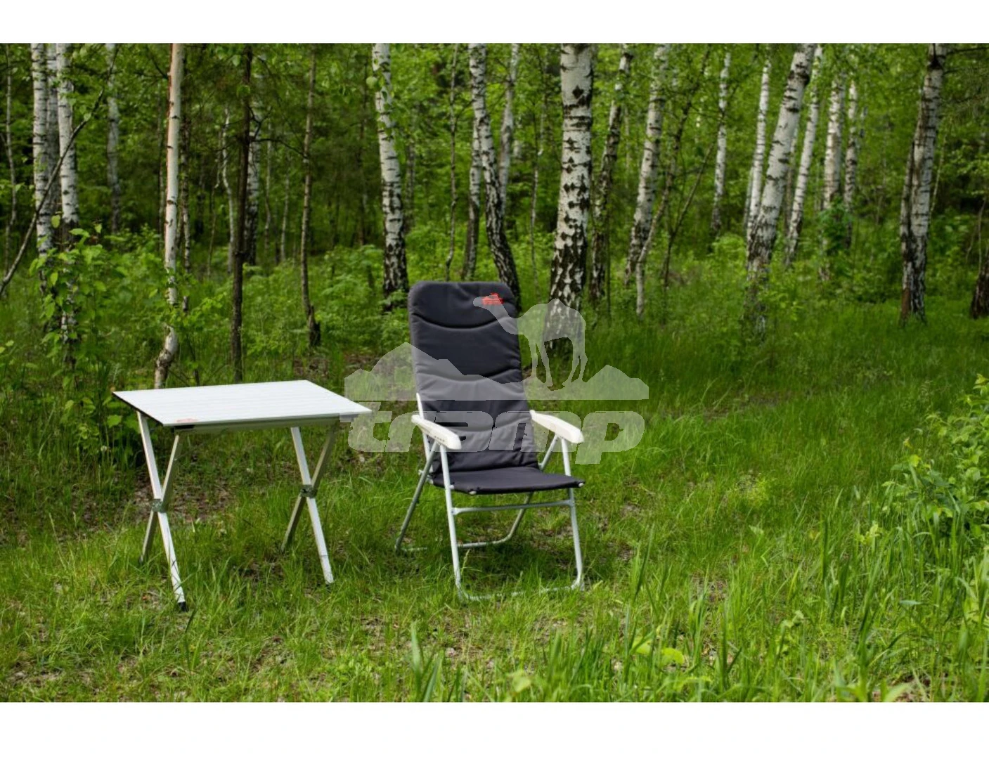 Кемпинговая мебель Стол складной алюминиевый (80x60x70см) Tramp Roll-80 TRF-063