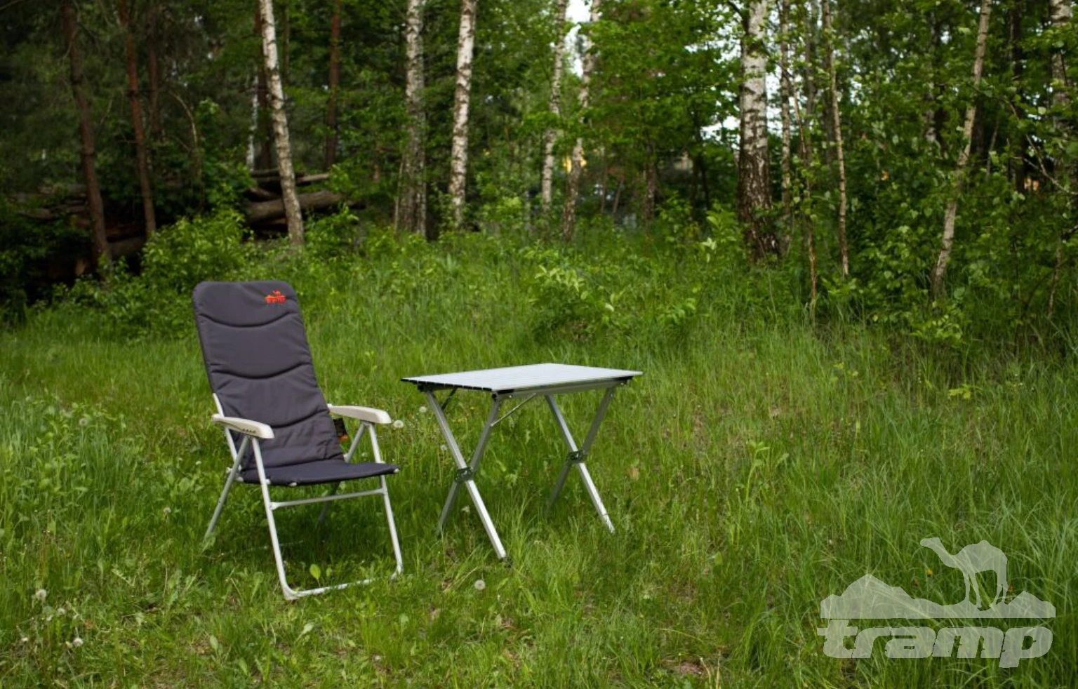 Кемпинговая мебель Кресло складное регулируемое Tramp TRF-066